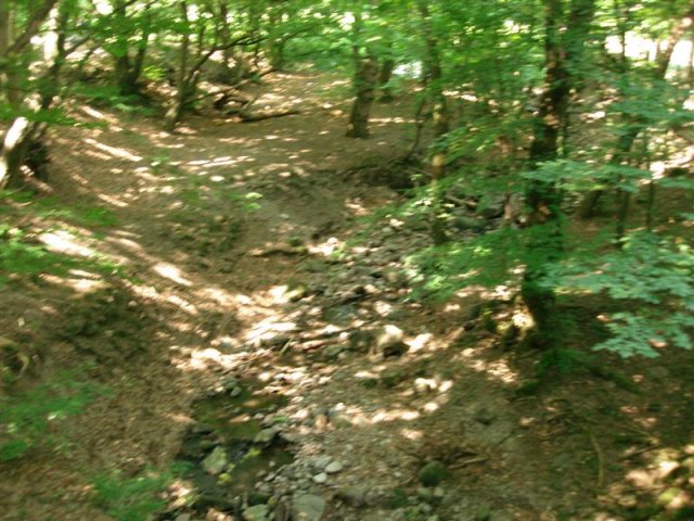 DSC05834 (Medium)